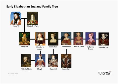 first king of tudor dynasty|henry vii of england children.